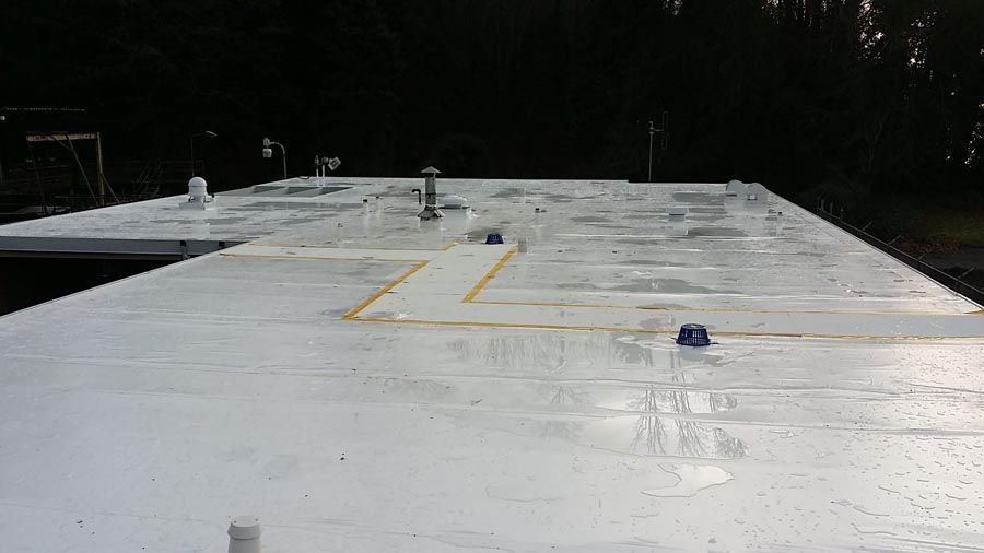 A white roof with a yellow line on it and trees in the background.